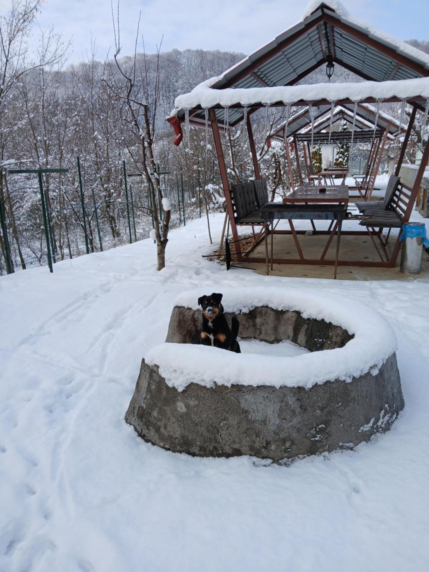 Perla Argesului, Ciubar, Piscina, Lift, Gratar, Cabana, Pensiuni, Hotel Cazare Transfagarasan Curtea De Arges Albestii de Arges Exterior photo